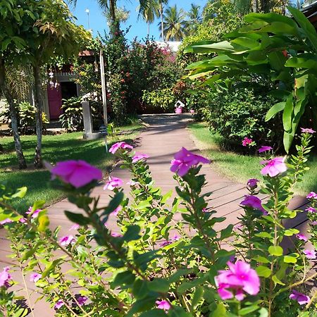 Hotel Casa Robinson لاس تاريناس المظهر الخارجي الصورة