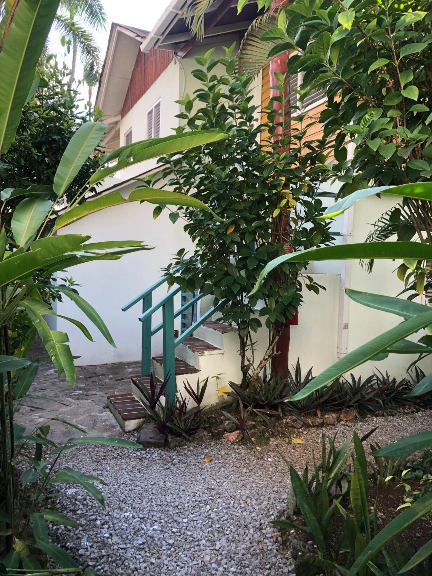 Hotel Casa Robinson لاس تاريناس المظهر الخارجي الصورة